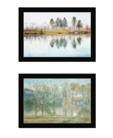 Trendy Decor 4U "Peaceful Lake Reflection" Framed Wall Art for Living Room, Wall Art Print for Home Decor, Bedroom Wall Art by Bluebird Barn (Color: as Pic)